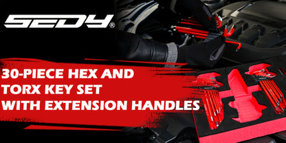 Hex Key & Torx Wrench Set 30-Piece – Long Arm Ball End Allen Wrenches with T-Handle & Extension Bar | SAE, Metric & Torx T10–T50 | Chrome Vanadium Steel