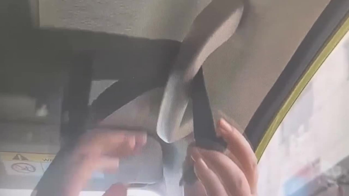 Durable Car Ceiling Mesh Organizer - Easy Install, Space-Saving, Adjustable Straps for SUV, Truck, Van - Fishing Rods Fabric Vehicle Roof Storage Net for Fishing Rods, Ski Poles And Long Gear, Easy Installation.