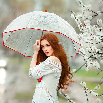 Clear Dome Bubble Umbrella 2 Pack Windproof Rainproof Auto Open 47 Inch Wide Canopy 8-Rib PVC Transparent Umbrella for Weddings Proms Graduations Outdoor Events