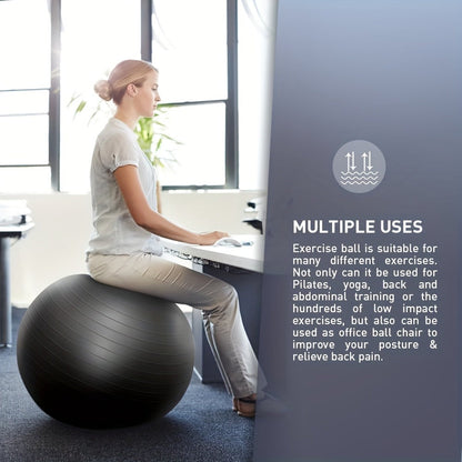 Exercise Ball 25 Inch Yoga Stability Ball 2-Pack Anti-Burst Fitness Balance Ball for Home Office Classroom Workout Core Training