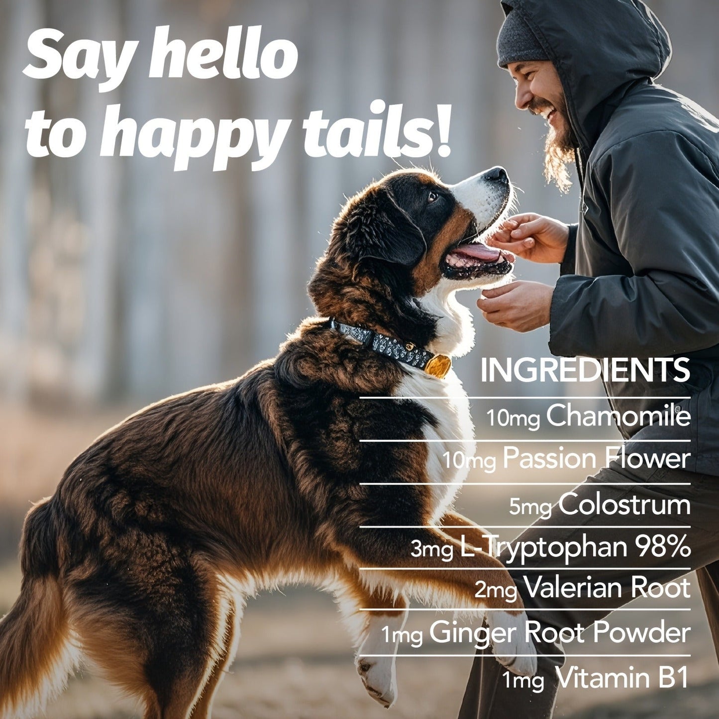Calming Chews for Dogs & Cats 90ct – Natural Herbal Anxiety & Stress Relief Supplement for Separation, Thunder, Fireworks & Barking, Supports Sleep & Emotional Health, Chicken Flavor