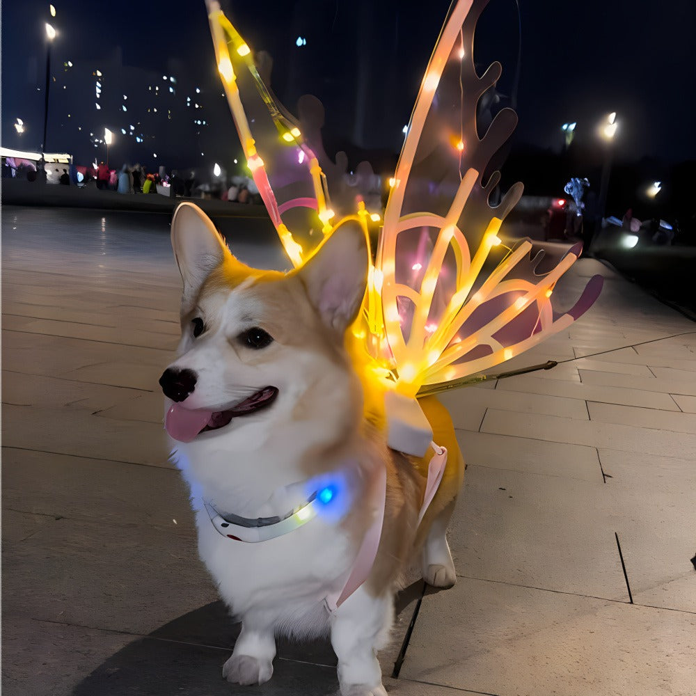 LED Light-Up Butterfly Angel Wings Costume for Dogs, Girls & Women – Multi-Color Illuminated Wings for Halloween, Christmas, Carnival, Cosplay & Themed Pet Parties, One Size Fits Most