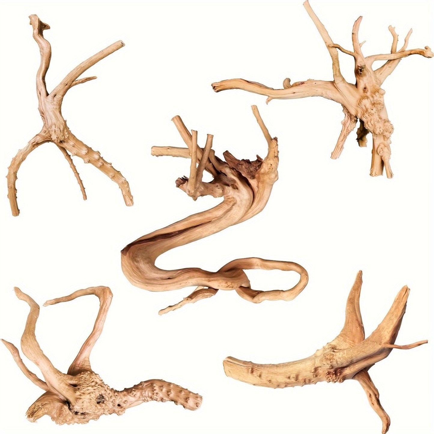 Natural Driftwood for Aquarium Reptile Terrarium – 5-Pack Assorted Branches Decoration for Freshwater & Saltwater Fish Tanks, Reptile Habitats, Spider Enclosures & Shrimp Tanks