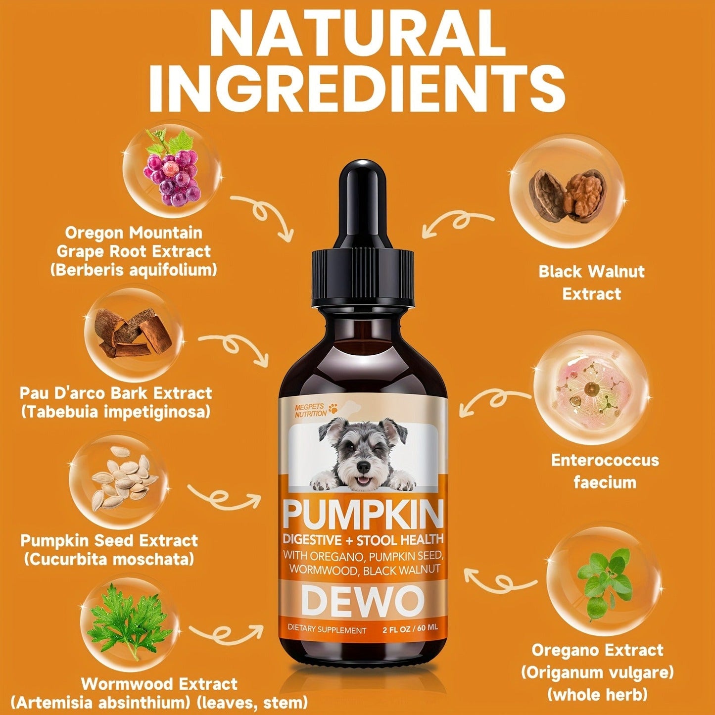 Pet Gut Wellness Drops with Black Walnut & Pumpkin Seed - Digestive Supplement for Dogs & Cats, Flora Balance, Intestinal Cleanliness & Overall Vitality, Natural Formula, 2 fl oz