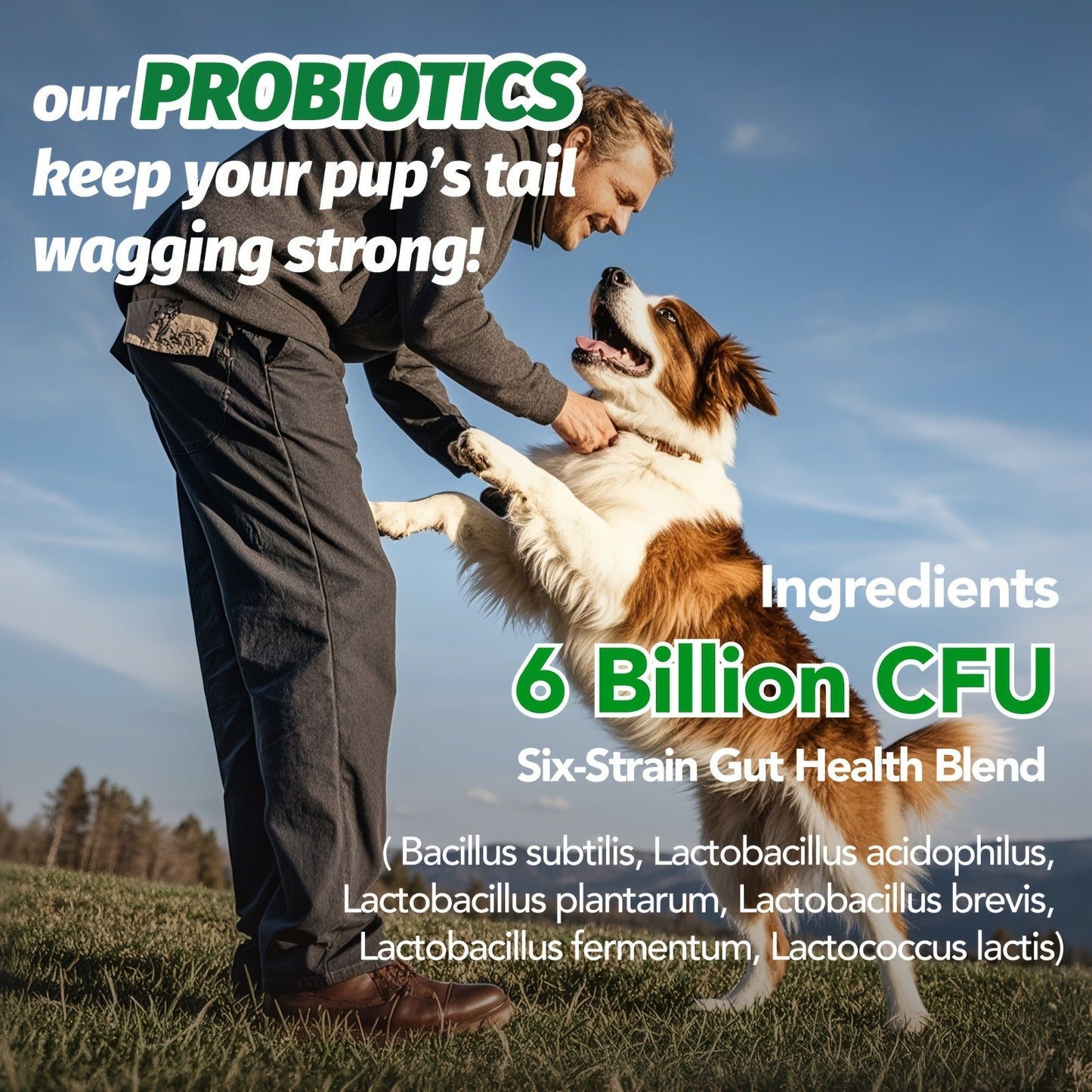 Dog Probiotic Supplement 6 Billion CFU with Prebiotic - 90 Chicken Flavor Chews for Itching Skin Relief, Digestive & Immune Health, All-in-One Canine Nutritional Supplement for All Breeds
