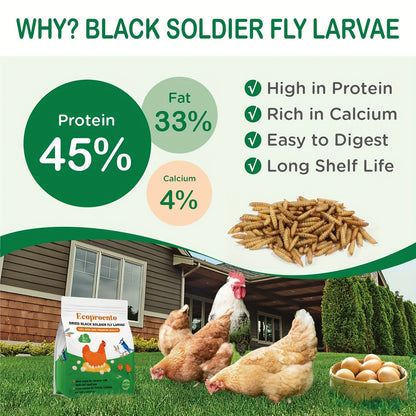 Non-GMO Dried Black Soldier Fly Larvae 5LB & 10LB - 85X More Calcium Than Mealworms, High Protein BSFL Treats for Chickens, Ducks, Wild Birds & Turtles