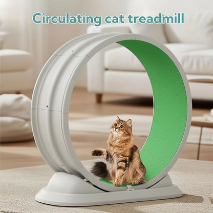 Cat Treadmill Indoor Exercise Wheel Durable Plastic Running Wheel for Indoor Cats All Breeds No Battery Needed Silent Spinner Cat Fitness Toy XXL Green Grey