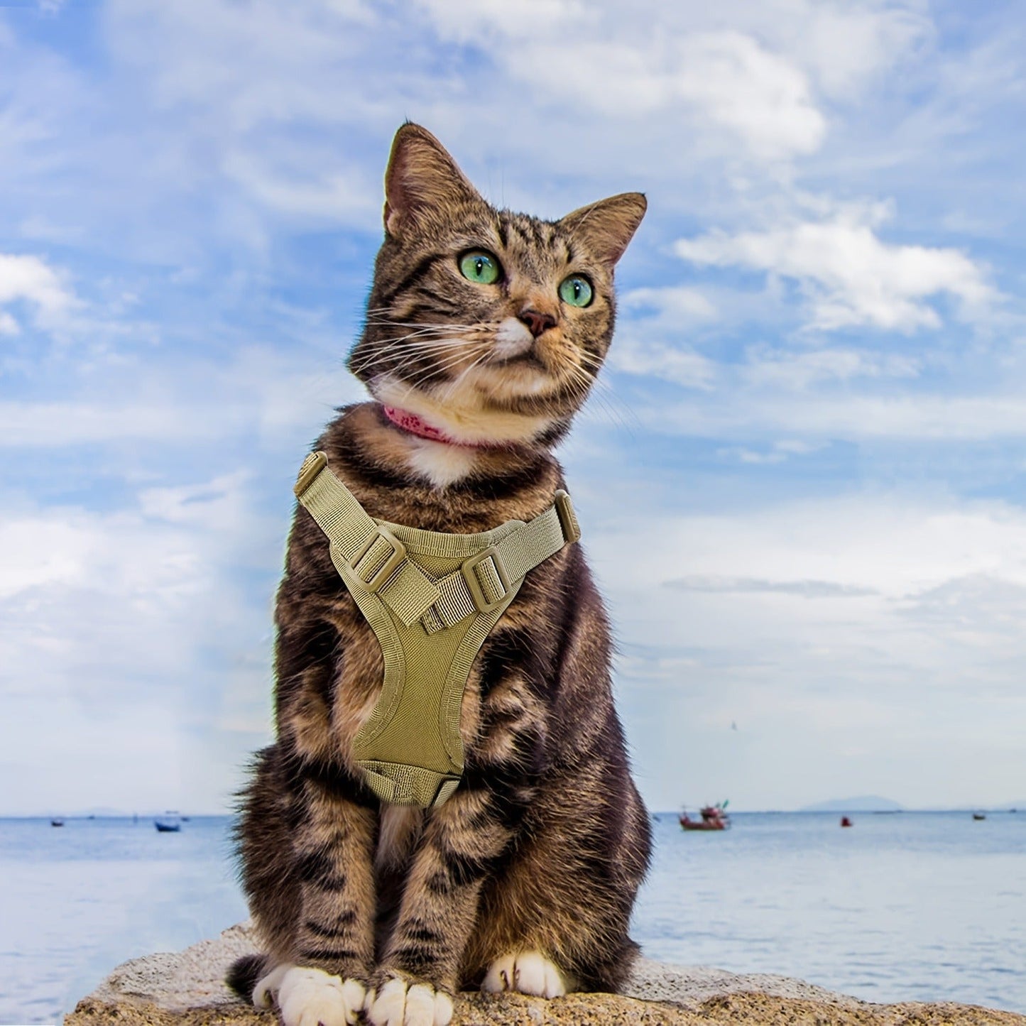 Cat Tactical Vest Harness Adjustable 600D Chest Strap for Cats & Puppies - Escape-Proof Training Vest Harness in Black Khaki Red Rose Red Mineral Green & Mixed Colors