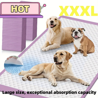 Puppy Pee Pads 100 Count - 6-Layer Super Absorbent Dog Training Pads, Leak-Proof Tear-Resistant Odor Control, 23.6"x23.6" & 34"x28" Large Size, Suitable for Dogs Cats & Multiple Pets