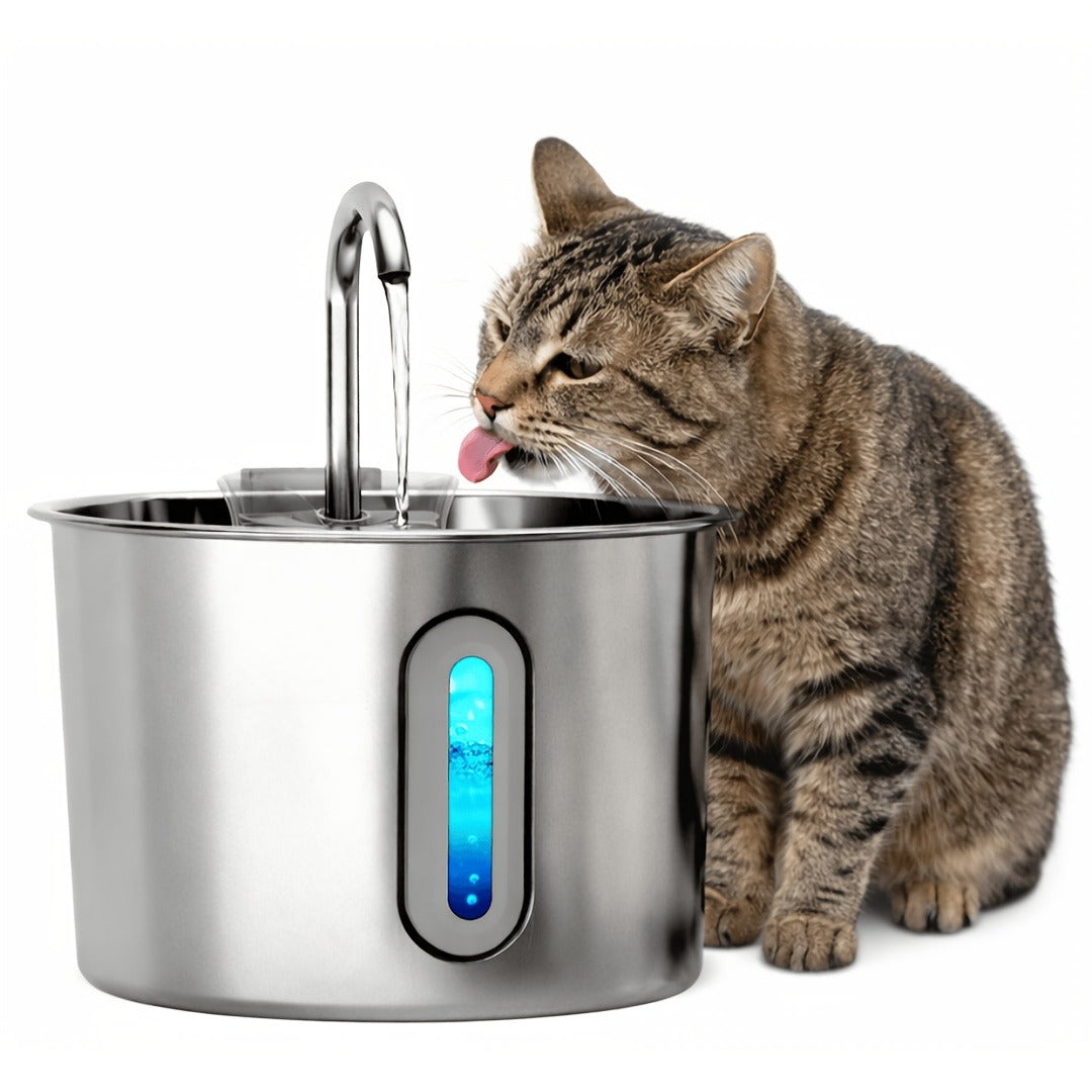 Stainless Steel Cat Water Fountain 74oz - 304 Food-Grade Steel, Ultra-Quiet USB Pump, 3-Stage Filtration, Visible Water Level Window, Auto Circulation for Cats & Small Dogs