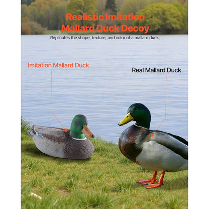 Duck Decoys 6-Pack – Realistic Floating Teal Decoy Set with Bionic Painting, XPE Compression Storage, 3 Male & 3 Female Ducks for Hunting, Pond Garden Yard Decoration, Flock Simulation