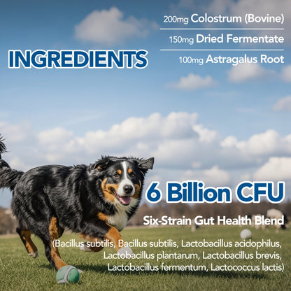 Dog Skin & Immune Probiotic Chews with Bovine Colostrum - 6 Billion CFUs, Dried Fermentate & Astragalus for Skin Calm & Immune Support, Chicken Flavor Soft Chews for All Dogs, 90 Count