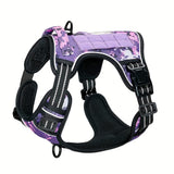Dark Violet