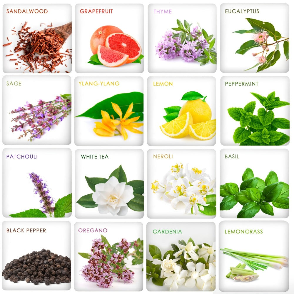 Essential Oils Set 12 26 32 48 Pcs Aromatherapy Gift Kit Lavender Eucalyptus Tea Tree Peppermint for Diffuser Humidifier Candle Soap Making Birthday Holiday Gift
