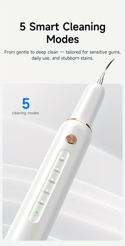 Ultrasonic Tartar Remover Electric Tooth Cleaner 5-Speed IPX6 Waterproof USB Rechargeable Dental Scaler with LED Light Mirror 2 Tips Plaque Stain Removal Tool for Home Oral Care Adults