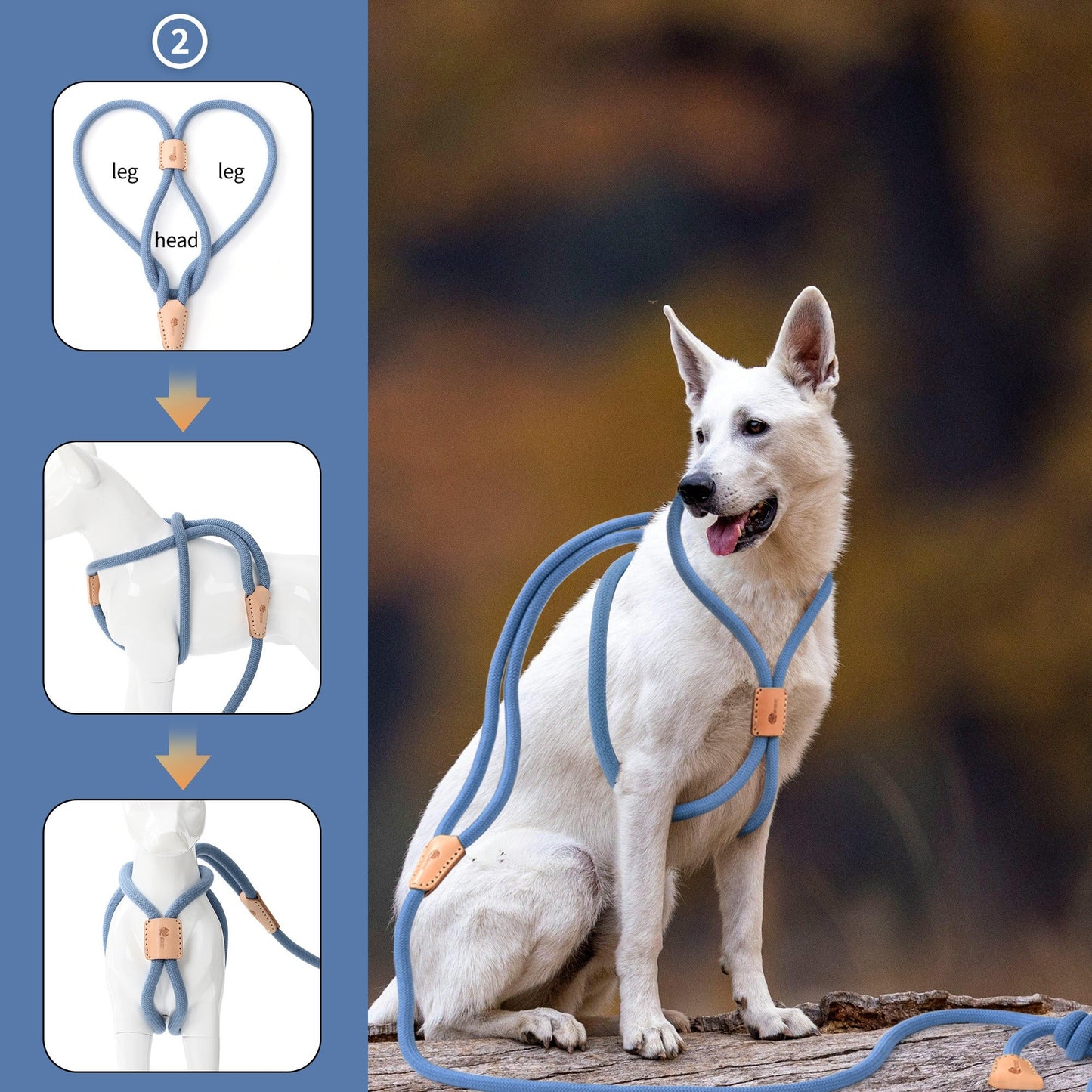Dog Slip Leash and Harness 2-in-1 Rope Lead - No Pull All-in-One Training Leash for Puppies & Small Dogs, Adjustable Slip Lead with Soft Rope, Secure Control for Walking & Training