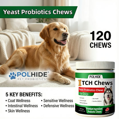 Dog Probiotic Chews 120 Count Heart-Shaped Soft Chews with Yeast & Meat Flavor | Supports Gut Health Coat & Immunity | All Breeds All Ages | 120-Day Supply Pet Digestive Supplement Daily Wellness Chew