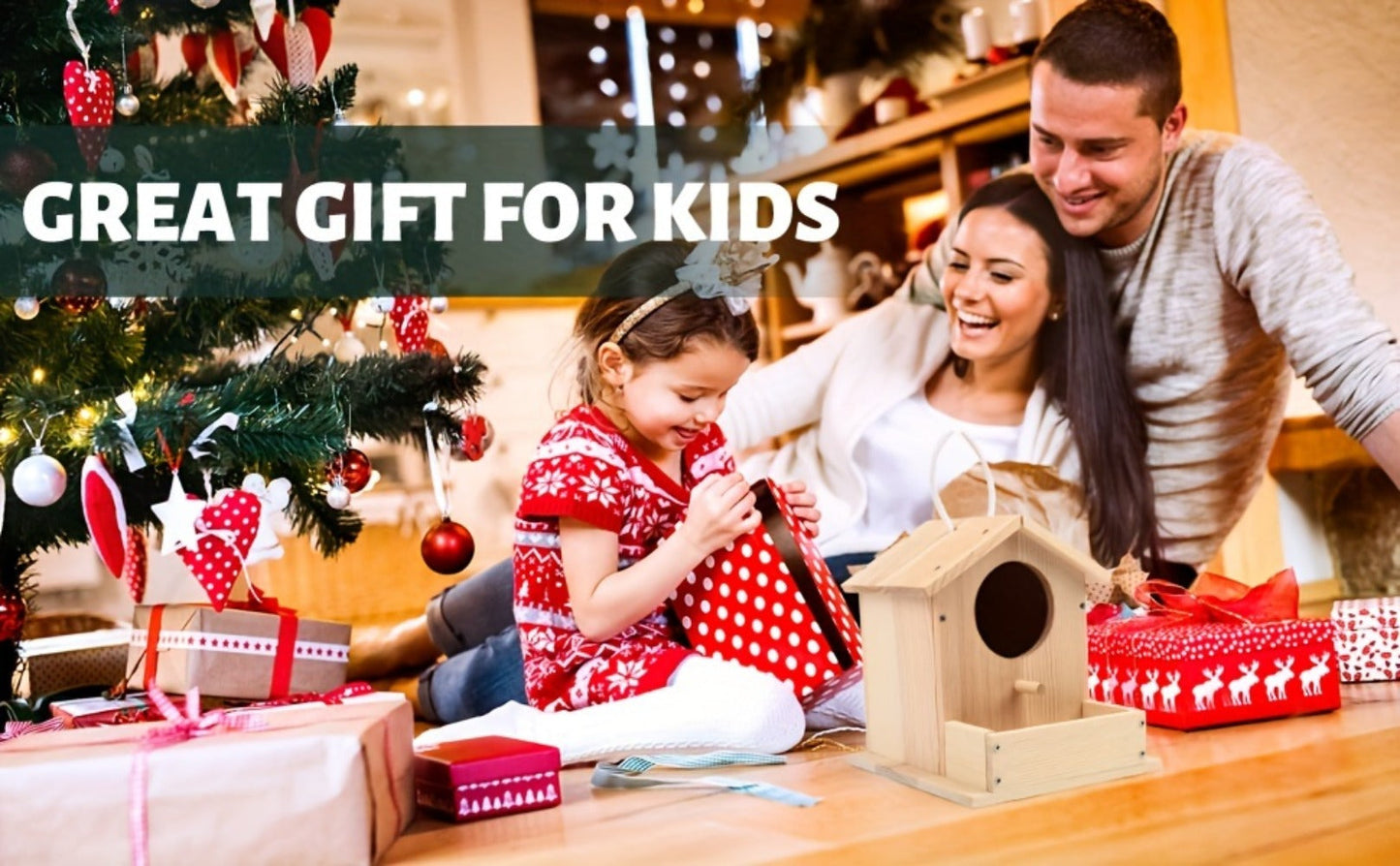 Wooden Birdhouse Building Kit for Kids – DIY Build & Paint Bird House Arts Crafts STEM Activity with Paint & Brushes, Birthday Christmas Gift Boys Girls Ages 4-12