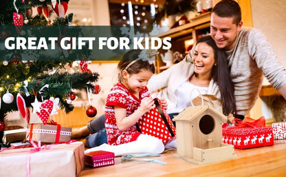 Wooden Birdhouse Building Kit for Kids – DIY Build & Paint Bird House Arts Crafts STEM Activity with Paint & Brushes, Birthday Christmas Gift Boys Girls Ages 4-12