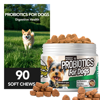 Dog Probiotic Supplement 6 Billion CFU with Prebiotic - 90 Chicken Flavor Chews for Itching Skin Relief, Digestive & Immune Health, All-in-One Canine Nutritional Supplement for All Breeds