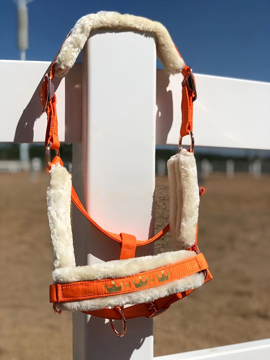 Horse Halter with Detachable Faux Fur Band & Glossy Buckle – Adjustable Head Collar for Horses, Available in 15 Colors & 3 Sizes FULL COB PONY