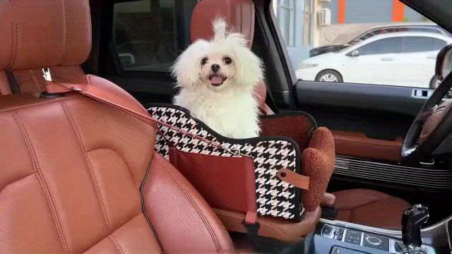 Comfortable Central Console Dog Car Seat, Portable Cozy Booster Car Seat, Deluxe Pet Car Seat for Dogs & Cats with Safety Harness, Breathable Mesh & Soft Padding - for Safe & Comfortable Trave