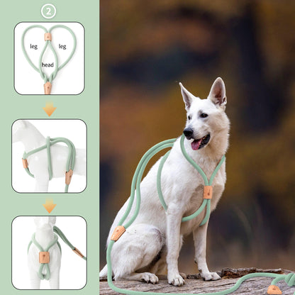 Dog Slip Leash and Harness 2-in-1 Rope Lead - No Pull All-in-One Training Leash for Puppies & Small Dogs, Adjustable Slip Lead with Soft Rope, Secure Control for Walking & Training