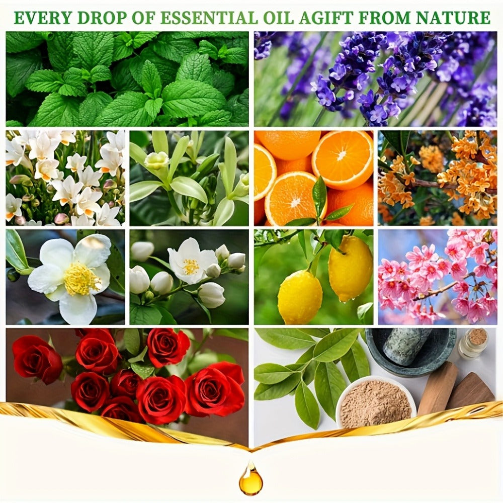 Fragrance Essential Oil Gift Set – Premium Hotel Scent Diffuser Oils for Candle Making, Aromatherapy & Home Fragrance | 12 or 24 Piece Set