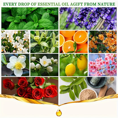 Fragrance Essential Oil Gift Set – Premium Hotel Scent Diffuser Oils for Candle Making, Aromatherapy & Home Fragrance | 12 or 24 Piece Set