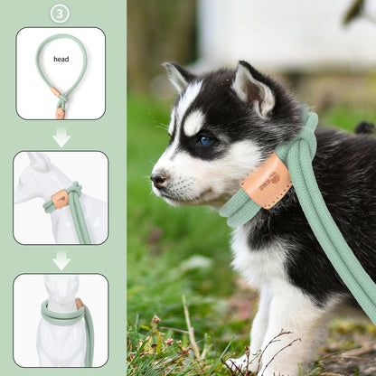 Dog Slip Leash and Harness 2-in-1 Rope Lead - No Pull All-in-One Training Leash for Puppies & Small Dogs, Adjustable Slip Lead with Soft Rope, Secure Control for Walking & Training