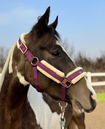 Horse Halter with Detachable Faux Fur Band & Glossy Buckle – Adjustable Head Collar for Horses, Available in 15 Colors & 3 Sizes FULL COB PONY