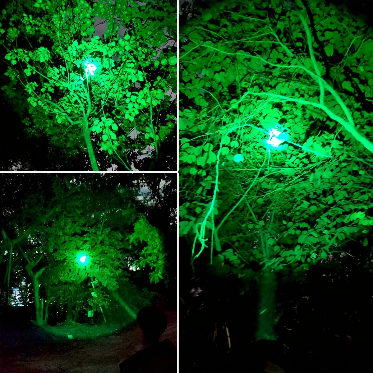 Night Hunting Flashlight with Remote Control Switch – 350 Yards High Power Green Red White Light, 18650 Rechargeable, Multiple Mounts for Hunting, Fishing, Camping & Beekeeping, Best Gift for Men