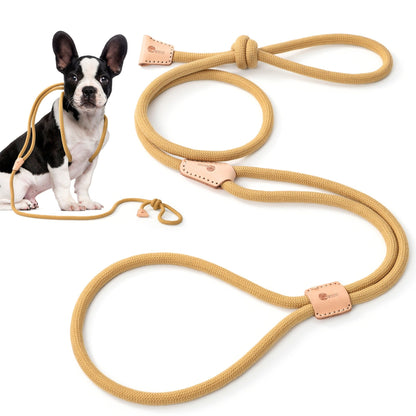 Dog Slip Leash and Harness 2-in-1 Rope Lead - No Pull All-in-One Training Leash for Puppies & Small Dogs, Adjustable Slip Lead with Soft Rope, Secure Control for Walking & Training