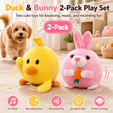 Two items(Duck and rabbit)