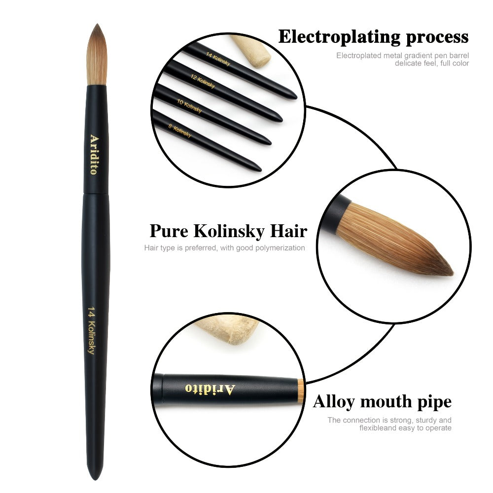 Kolinsky Nail Brush Round Head for Acrylic Extensions – Professional Black Wooden Handle Nail Art Brush with Genuine Kolinsky Hair Bristles, Sizes #8 #10 #12 #14 #16 #18 for Salon & Home Manicure Women