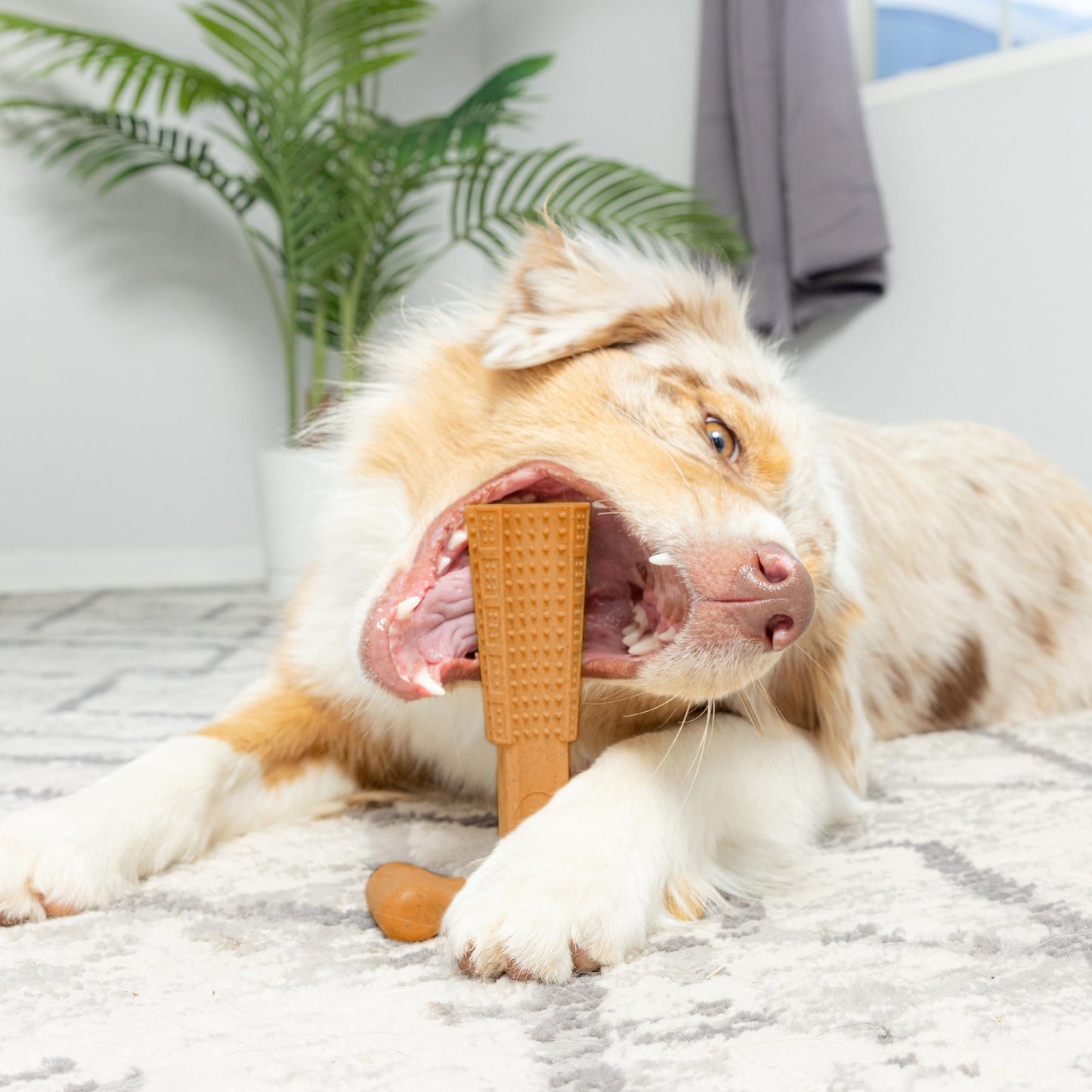Dog Dental Chew Toy T-Shape with Textured Ridges & Ergonomic Grip – Non-Splintering Durable Chew Toy for Aggressive Chewers, Teething Puppies & Adult Dogs, Promotes Oral Health & Clean Teeth
