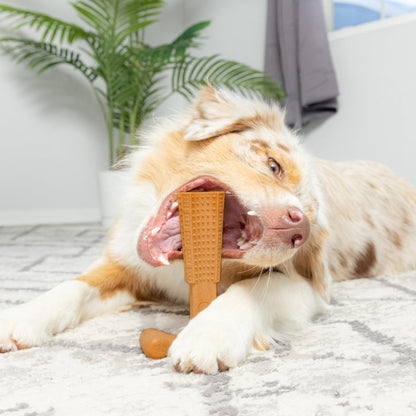 Dog Dental Chew Toy T-Shape with Textured Ridges & Ergonomic Grip – Non-Splintering Durable Chew Toy for Aggressive Chewers, Teething Puppies & Adult Dogs, Promotes Oral Health & Clean Teeth