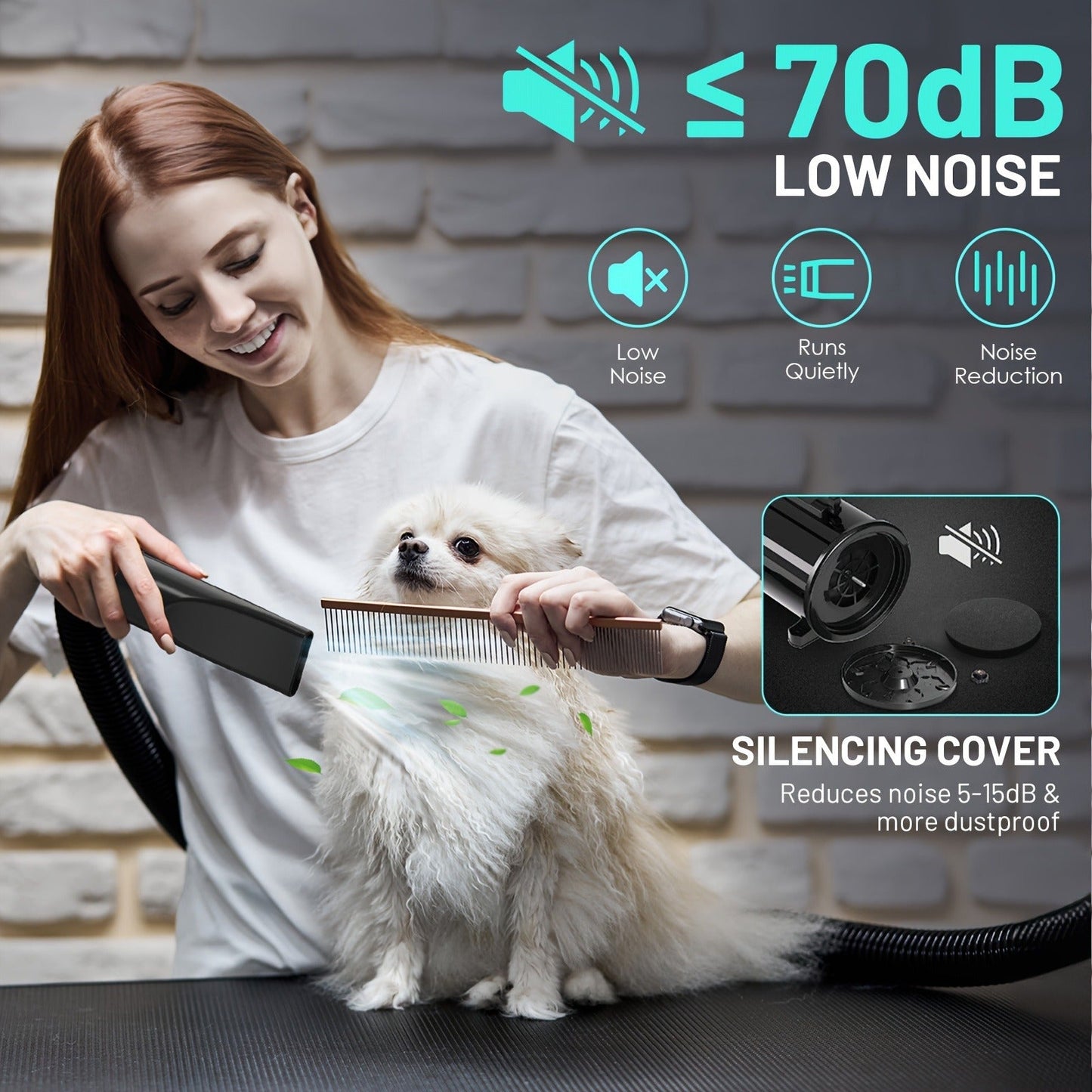 Dog Hair Dryer 3800W High Power - Professional Pet Grooming Blow Dryer with Adjustable Speed & Temperature Control, 4 Nozzles for Dogs & Cats, Easy to Use & Clean