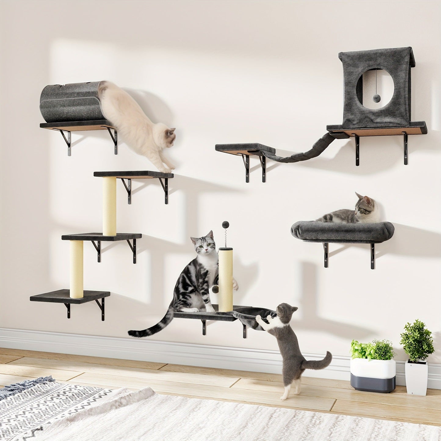 Cat Wall Shelf Climbing Set – 7-Piece Deluxe Wall Mounted Cat Furniture with Condo, Scratching Post, Bridge, Ladder & Tunnel for All Cat Sizes