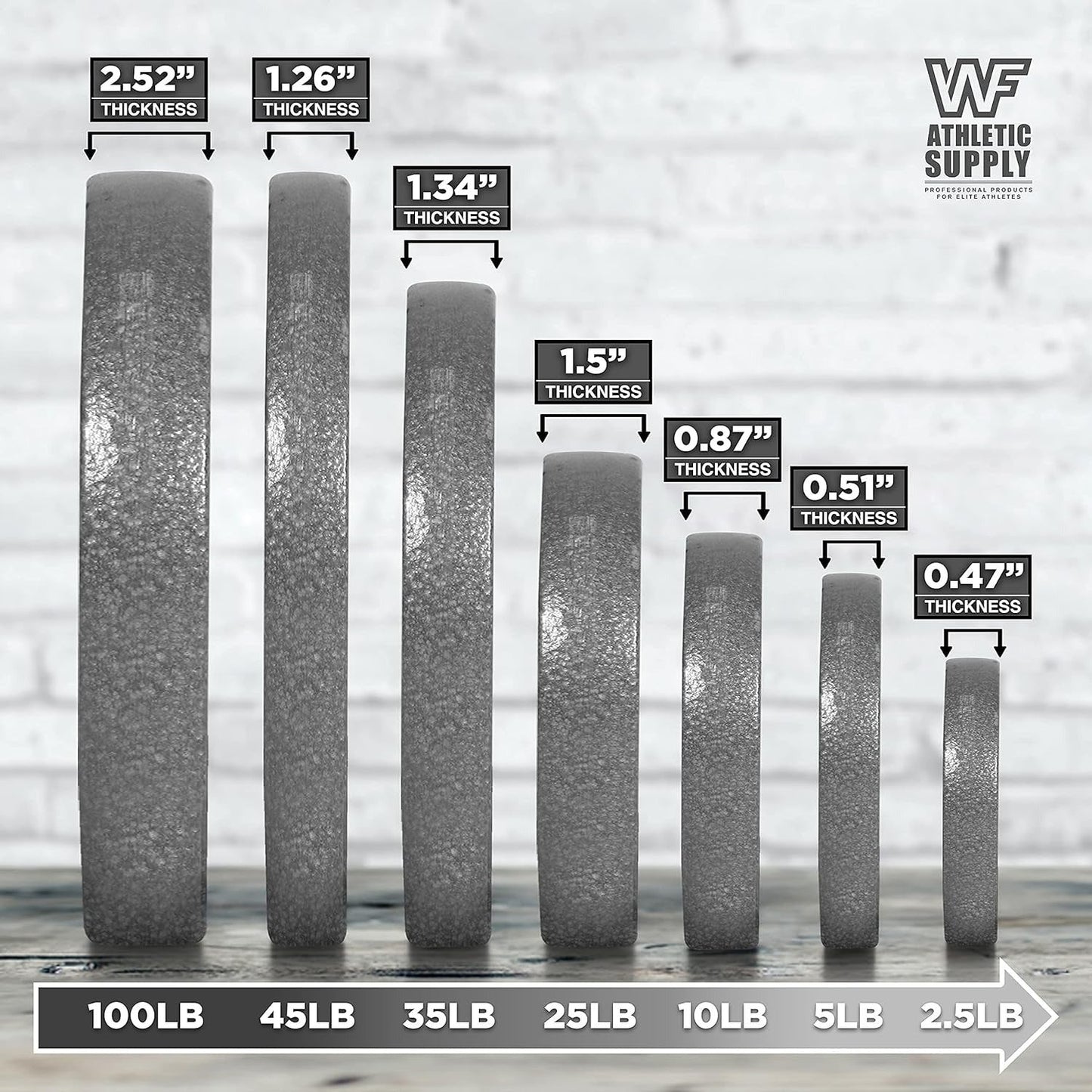 Cast Iron Weight Plates 2-Inch Standard Barbell Plates Solid Iron Gym Weights for Strength Training Weightlifting Bodybuilding Powerlifting Home Gym Multiple Sizes 2.5LB to 100LB