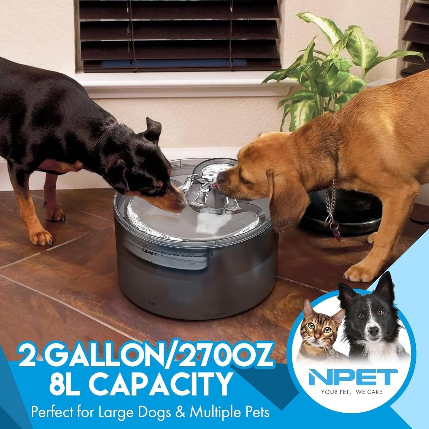 Dog Water Fountain 2 Gallon NPET DF30 - Automatic Pet Water Dispenser Triple Filtration with Splatter Guard & Cleaning Kit for Large Dogs & Multiple Pets 1.3Gal or 2Gal Options