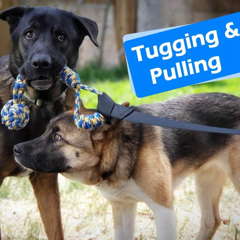 Bungee Dog Tug Toy Outdoor Hanging from Tree Height Adjustable 19.7 Ft Elastic Cord Tether with Chew Rope - Solo & Interactive Exercise Play for All Dog Breeds Small to Large