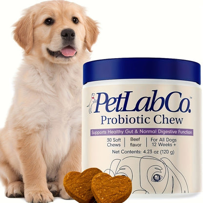 Dog Probiotic & Prebiotic Chewable Treats with Natural Ingredients - Supports Gut Health & Quality of Life for All Breeds, Daily Wellness Soft Chews for Dogs, 1pc & 3pc Value Pack