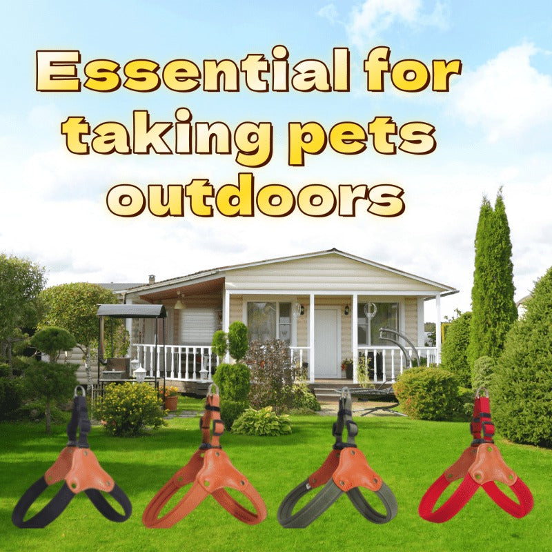 Dog Leash & Harness Set – Outdoor Safety Leash for Large Medium Small Dogs, M/L/XL, Brown Black Red