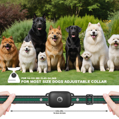 Dog E-Collar with Remote IP68 Waterproof – Rechargeable Dog Training Shock Collar for Small Medium Large Dogs, 3 Safe Training Modes, 1640ft Range | 1, 2 or 3 Dogs (Black)