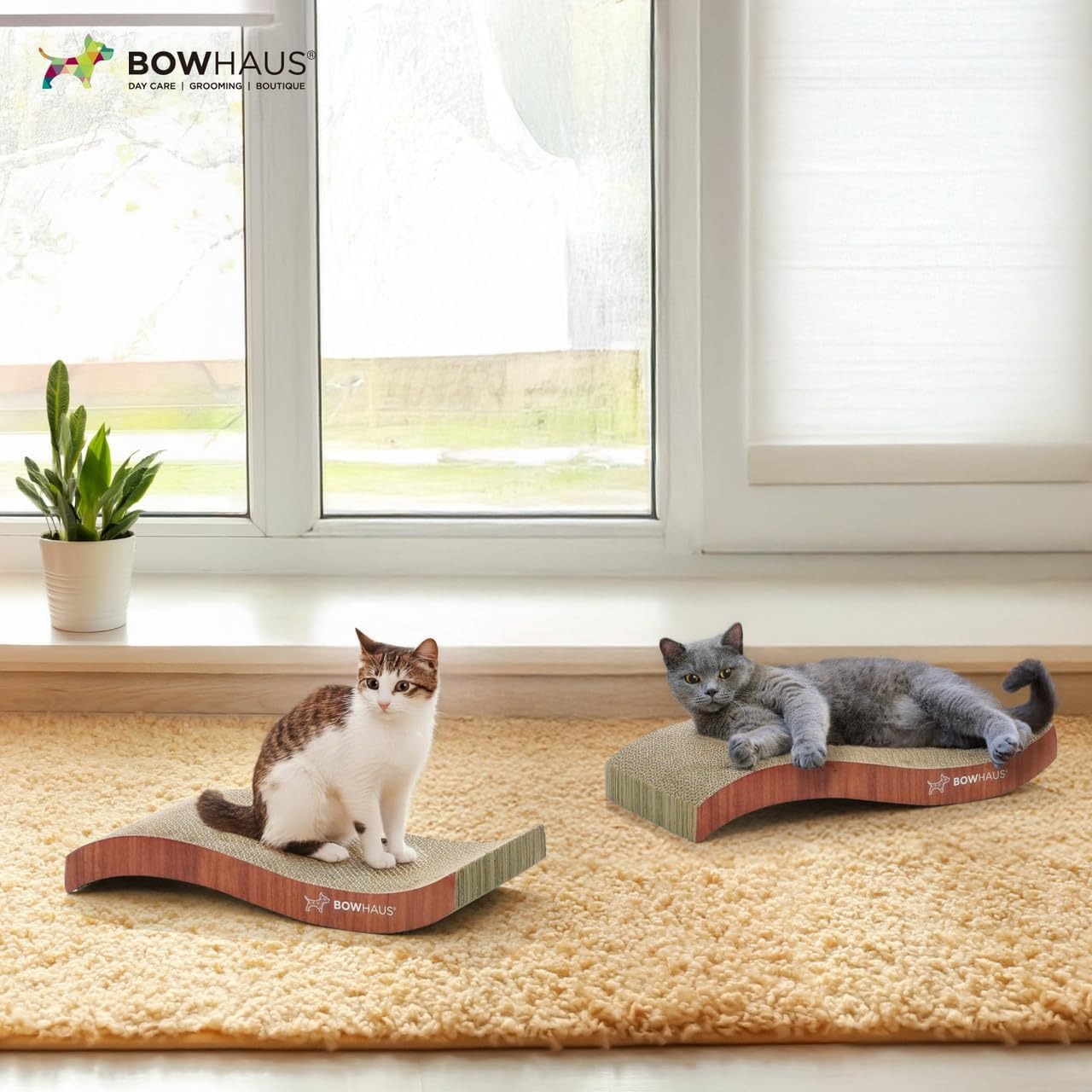 Cat Scratcher Lounger Reversible - Large Cardboard Cat Scratching Pad & Board for Indoor Cats, 5-Layer Durable Construction, Double-Sided Scratch Surface, Furniture Protector, Basic 8pcs & Curved 1pc