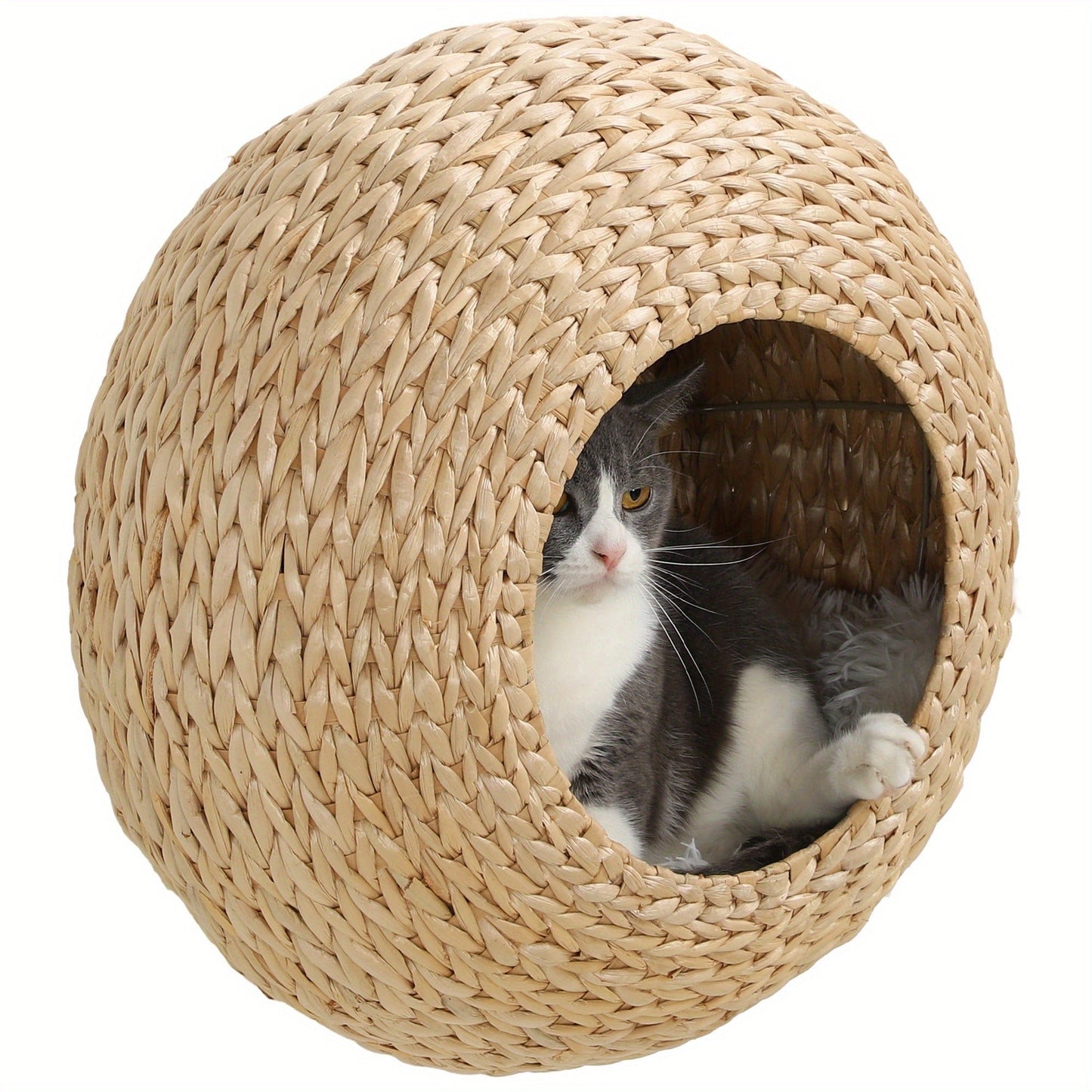 Cat Wall Furniture Wall Mounted Cat Condo – Natural Wood Cat Wall Shelf with Washable Cushion, Space-Saving Indoor Cat Perch for Cats & Kittens, Modern Home Decor Cat Climbing Shelf