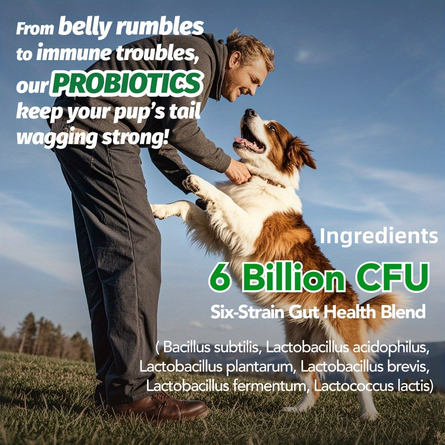 Dog Probiotic Chews for Digestive Health - Chicken Flavor Soft Chews with Probiotics for All Breeds, Supports Gut Health, Bloating & Diarrhea Relief, 90 Count per Bottle
