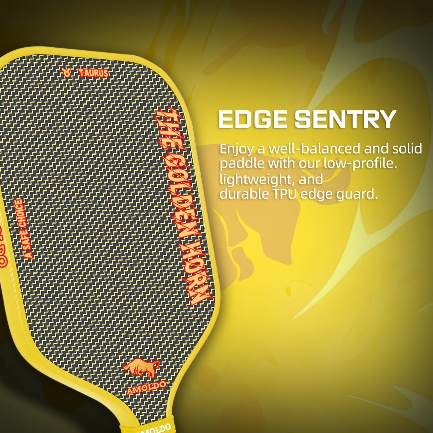 Titanium Pickleball Paddle 16mm Wire Woven Surface PP Honeycomb Core Hot Pressed Power Control Spin Pickleball Racket for Beginner Intermediate Advanced