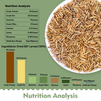 Non-GMO Dried Black Soldier Fly Larvae 5LB & 10LB - 85X More Calcium Than Mealworms, High Protein BSFL Treats for Chickens, Ducks, Wild Birds & Turtles